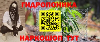эйфоретик Нарткала