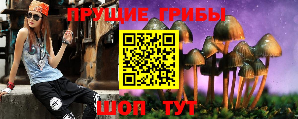 Сергиев Посад  Галлюциногенные грибы MAGIC MUSHROOMS  Псилоцибиновые грибы GOLDEN TEACHER  Вход с VPN 