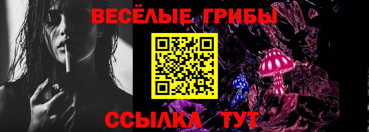 Псилоцибиновые грибы Cubensis Сергиев Посад